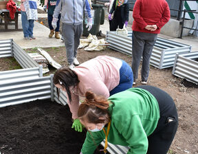 Individuals sowing seeds in soil