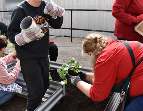 People potting plants in soil
