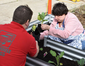 Man and women potting plants