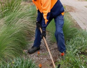 Person wearing orange hi-vis polo holding garden brush with green shrubs surrounding