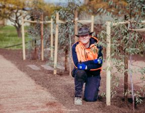 Person wearing bucket hat kneeling down with small trees around him