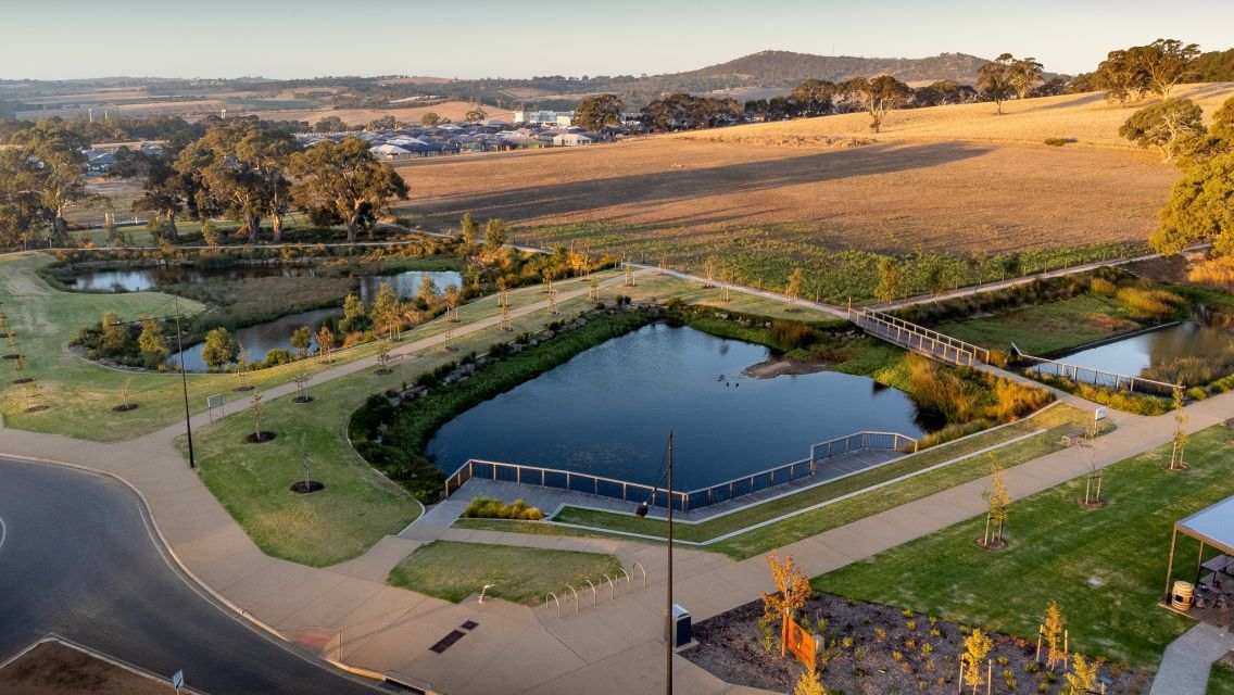 Birds eye view of a reserve surrounded by greenery