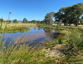 Blue colour lake surrounded by greenery