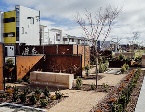 Area with shrubs and greenery and buildings behind