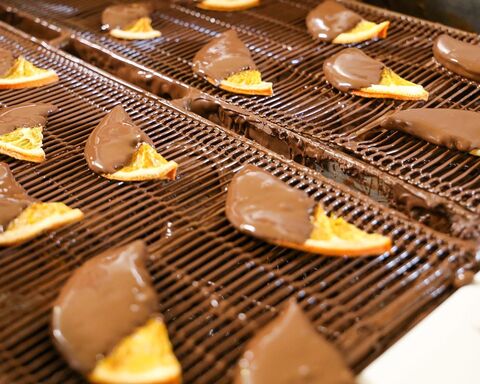 Choc-dipped citrus fruit in the dehydrator