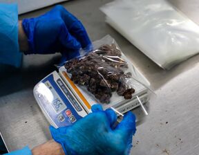 Packaged chocolates being weighed to ensure production quality