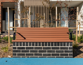 Wooden bench and small trees surrounding it