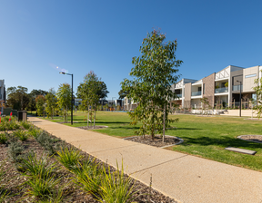 Walking path surrounded by greenery and trees