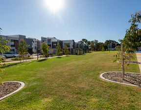Patch of greenery and trees