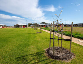 Stretch of greenery with trees being planted