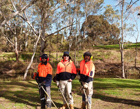 Three men wearing orange colour hi-vis clothing with brush cutter in hand